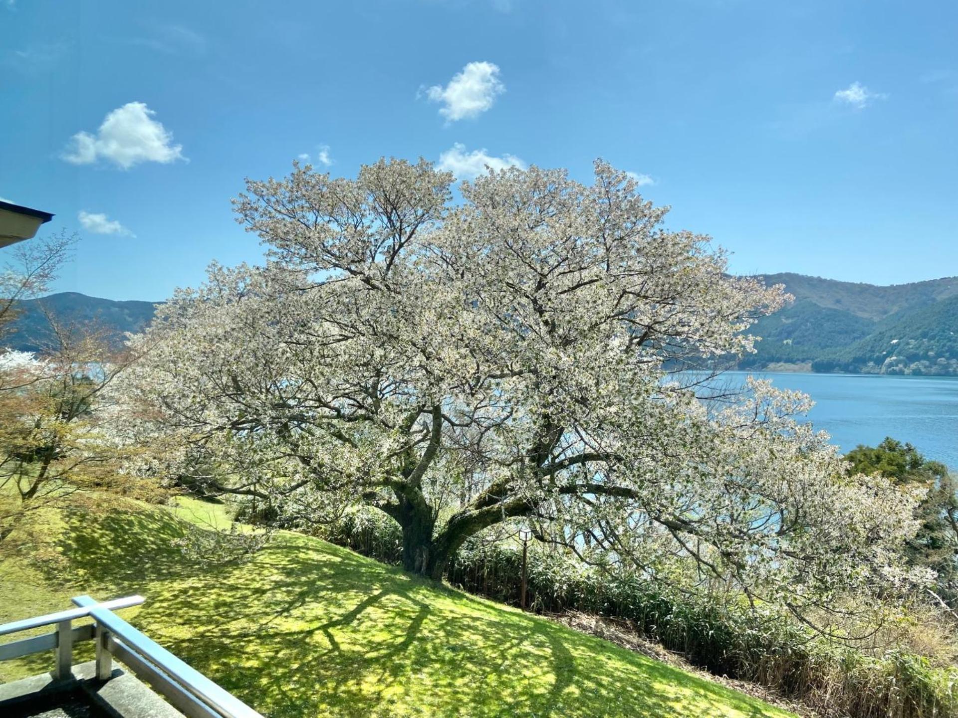 Ryuguden Hotell Hakone Exteriör bild
